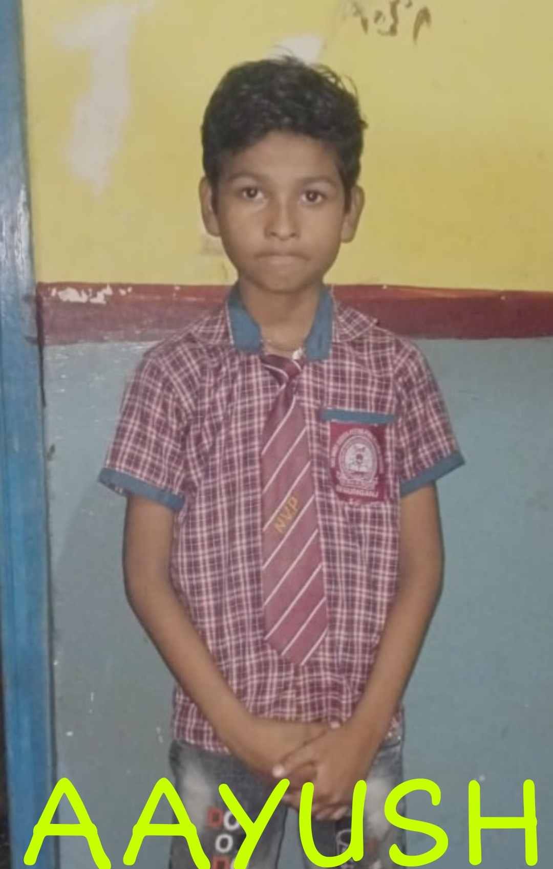 aayush narayan