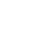 statesman